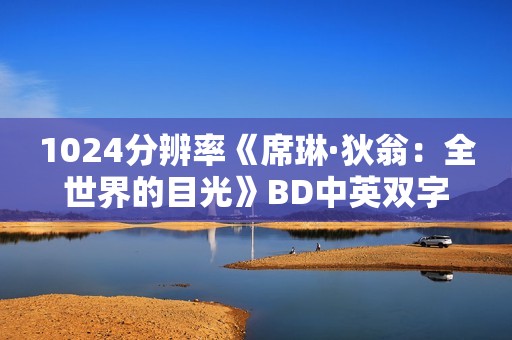 1024分辨率《席琳·狄翁：全世界的目光》BD中英双字无水印