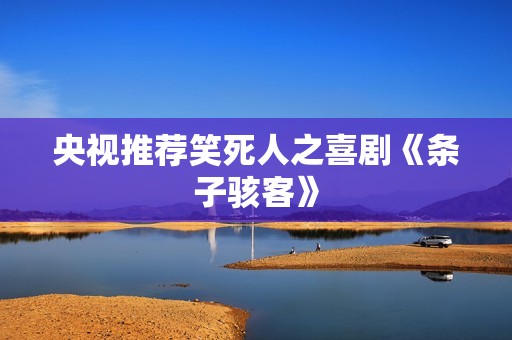 央视推荐笑死人之喜剧《条子骇客》