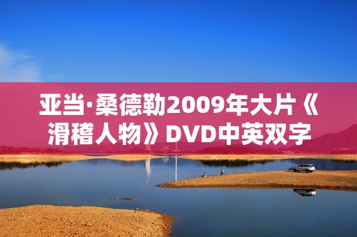 亚当·桑德勒2009年大片《滑稽人物》DVD中英双字
