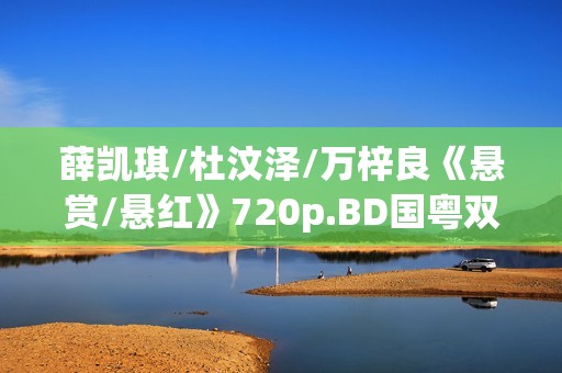 薛凯琪/杜汶泽/万梓良《悬赏/悬红》720p.BD国粤双语中字
