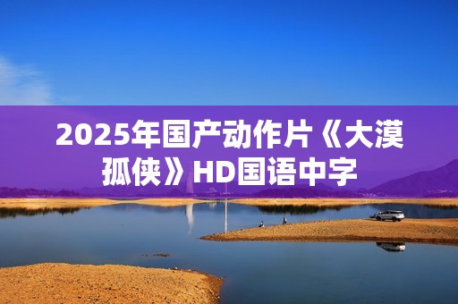 2025年国产动作片《大漠孤侠》HD国语中字