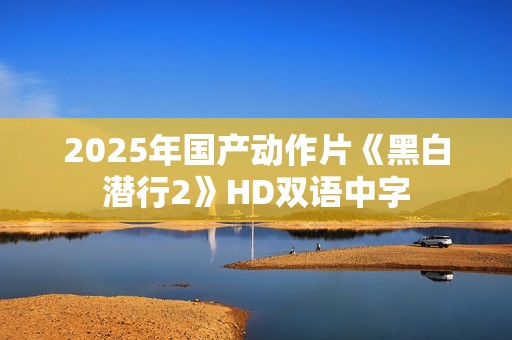 2025年国产动作片《黑白潜行2》HD双语中字