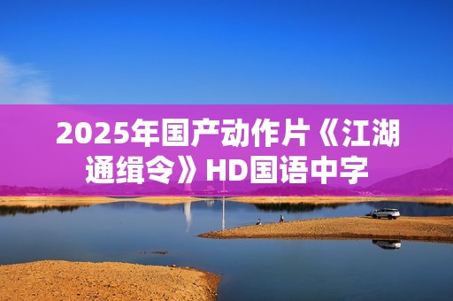 2025年国产动作片《江湖通缉令》HD国语中字