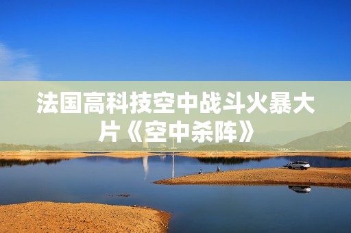 法国高科技空中战斗火暴大片《空中杀阵》