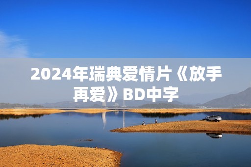 2024年瑞典爱情片《放手再爱》BD中字