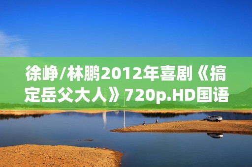 徐峥/林鹏2012年喜剧《搞定岳父大人》720p.HD国语中字