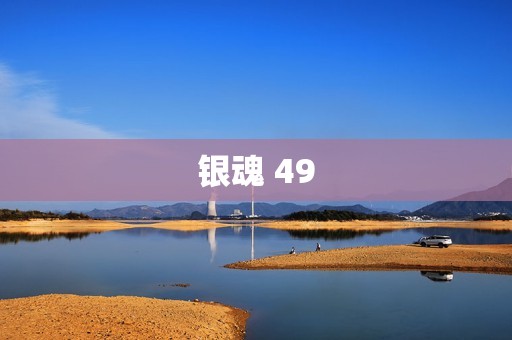 银魂 49