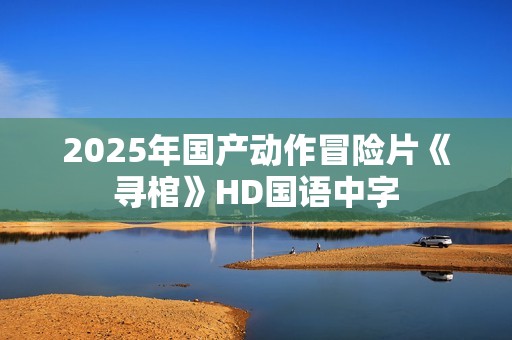 2025年国产动作冒险片《寻棺》HD国语中字