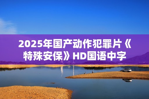 2025年国产动作犯罪片《特殊安保》HD国语中字