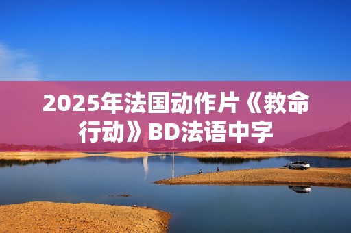2025年法国动作片《救命行动》BD法语中字