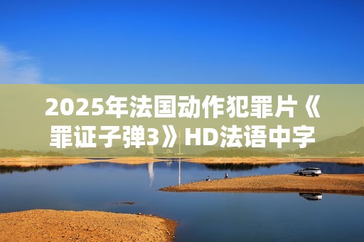 2025年法国动作犯罪片《罪证子弹3》HD法语中字
