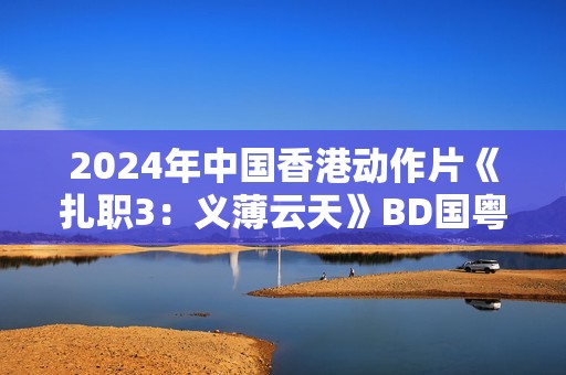 2024年中国香港动作片《扎职3：义薄云天》BD国粤双语中字