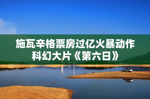 施瓦辛格票房过亿火暴动作科幻大片《第六日》