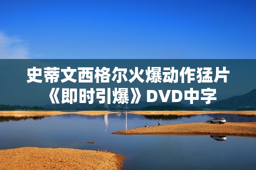 史蒂文西格尔火爆动作猛片《即时引爆》DVD中字