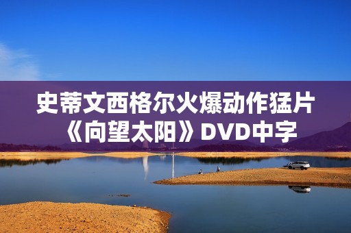 史蒂文西格尔火爆动作猛片《向望太阳》DVD中字 史蒂文西格尔火爆动作猛片《向望太阳》DVD中字