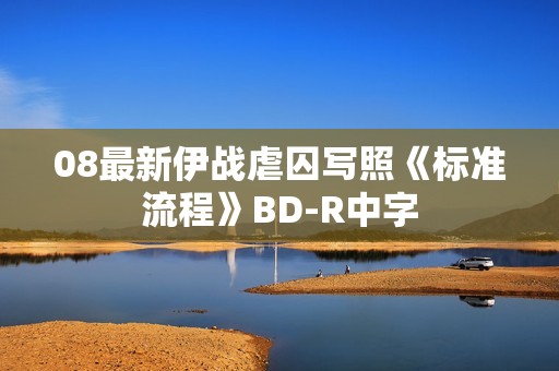 08最新伊战虐囚写照《标准流程》BD-R中字