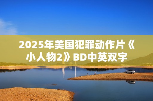 2025年美国犯罪动作片《小人物2》BD中英双字 2025年美国犯罪动作片《小人物2》BD中英双字