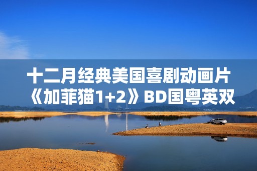 十二月经典美国喜剧动画片《加菲猫1+2》BD国粤英双字