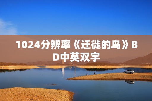 1024分辨率《迁徙的鸟》BD中英双字
