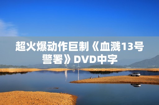 超火爆动作巨制《血溅13号警署》DVD中字