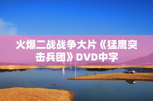 火爆二战战争大片《猛鹰突击兵团》DVD中字