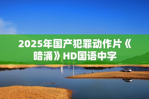 2025年国产犯罪动作片《暗涌》HD国语中字
