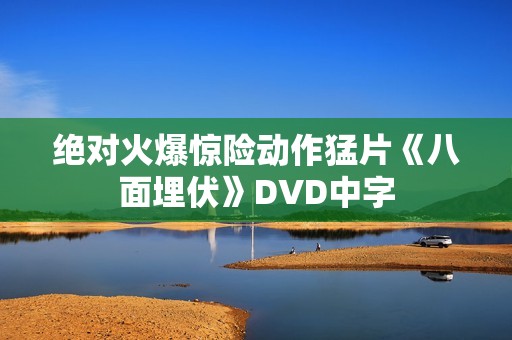 绝对火爆惊险动作猛片《八面埋伏》DVD中字