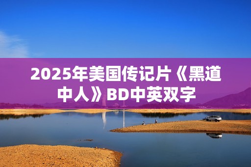 2025年美国传记片《黑道中人》BD中英双字