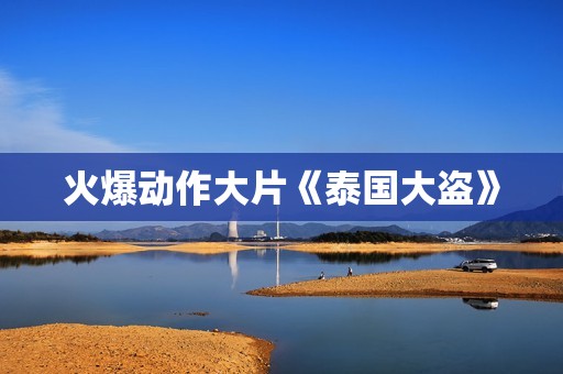 火爆动作大片《泰国大盗》