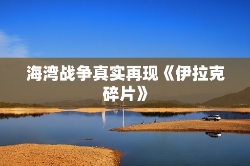 海湾战争真实再现《伊拉克碎片》