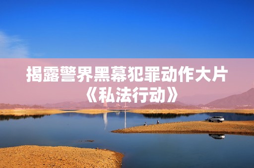 揭露警界黑幕犯罪动作大片《私法行动》