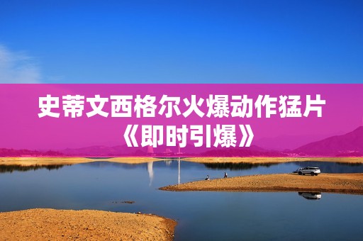 史蒂文西格尔火爆动作猛片《即时引爆》
