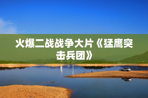 火爆二战战争大片《猛鹰突击兵团》