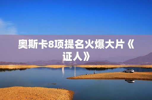 奥斯卡8项提名火爆大片《证人》