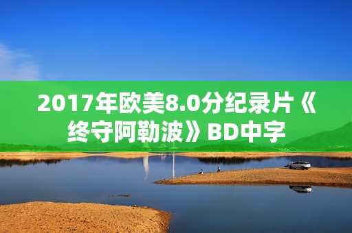2017年欧美8.0分纪录片《终守阿勒波》BD中字