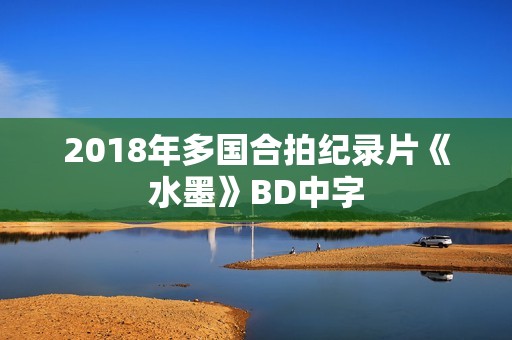2018年多国合拍纪录片《水墨》BD中字