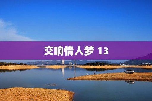 交响情人梦 13