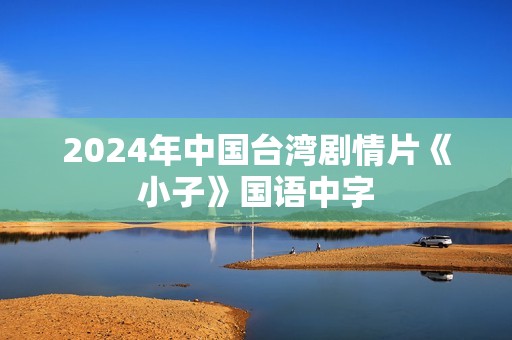 2024年中国台湾剧情片《小子》国语中字