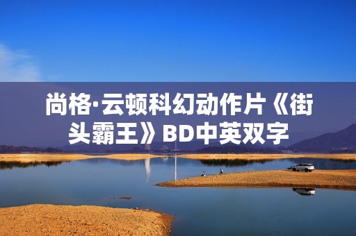 尚格·云顿科幻动作片《街头霸王》BD中英双字