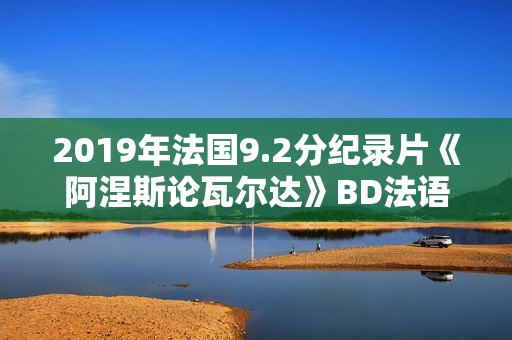 2019年法国9.2分纪录片《阿涅斯论瓦尔达》BD法语中字