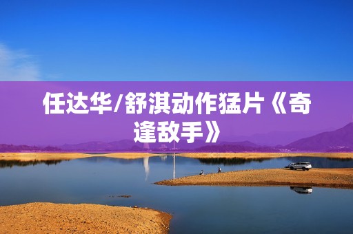 任达华/舒淇动作猛片《奇逢敌手》