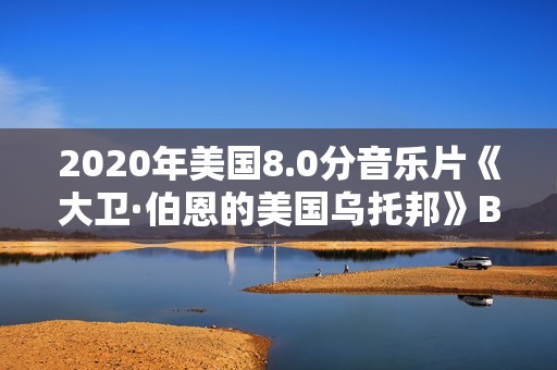 2020年美国8.0分音乐片《大卫·伯恩的美国乌托邦》BD中英双字