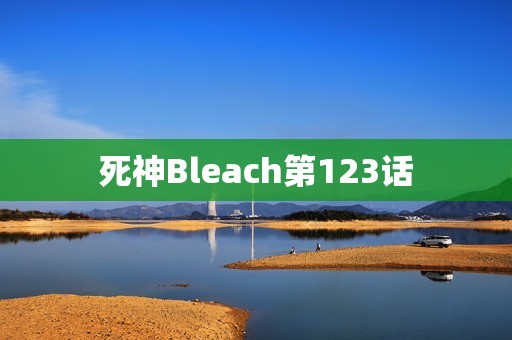 死神Bleach第123话