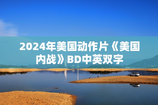 2024年美国动作片《美国内战》BD中英双字