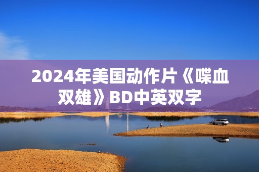 2024年美国动作片《喋血双雄》BD中英双字