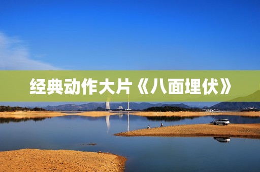 经典动作大片《八面埋伏》