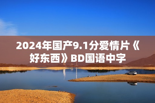 2024年国产9.1分爱情片《好东西》BD国语中字