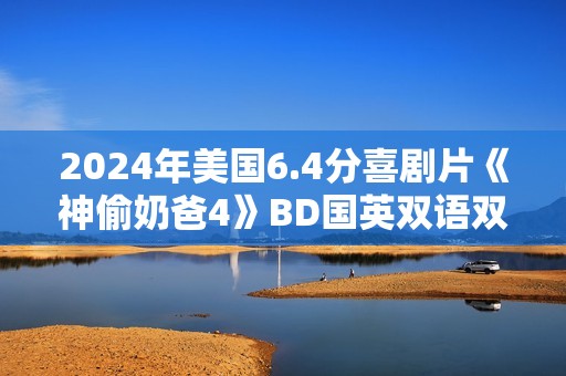 2024年美国6.4分喜剧片《神偷奶爸4》BD国英双语双字