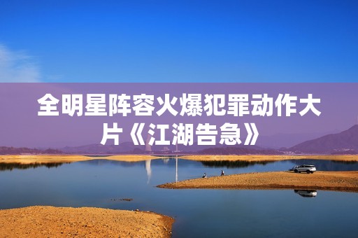 全明星阵容火爆犯罪动作大片《江湖告急》