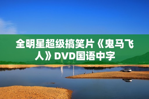 全明星超级搞笑片《鬼马飞人》DVD国语中字